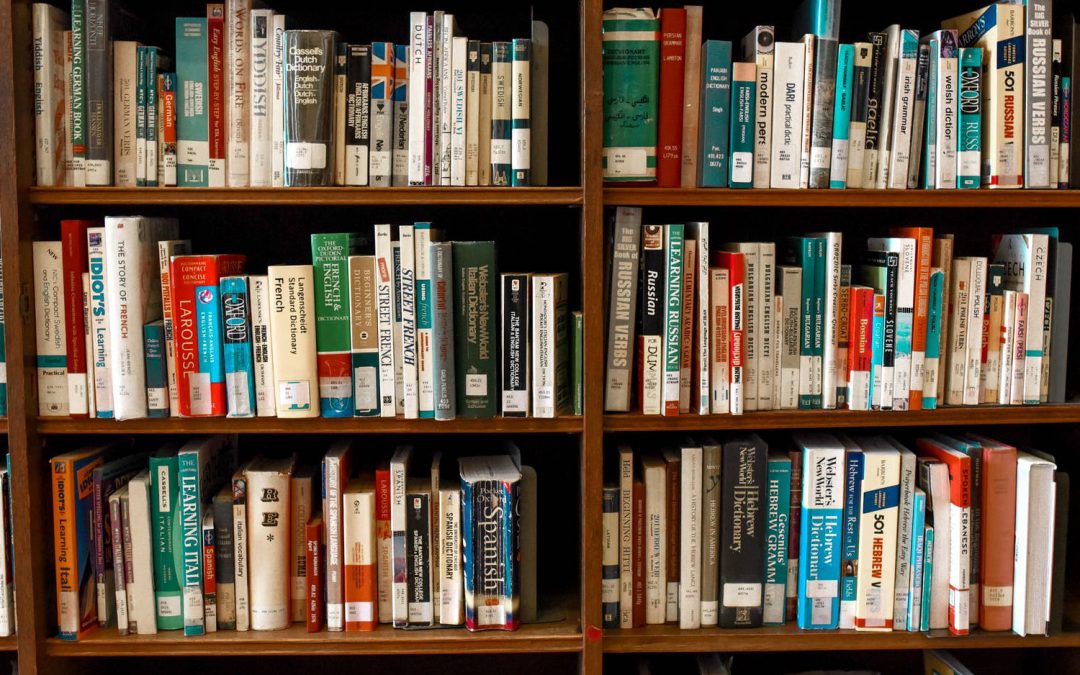 Informations­wissenschaftler*in